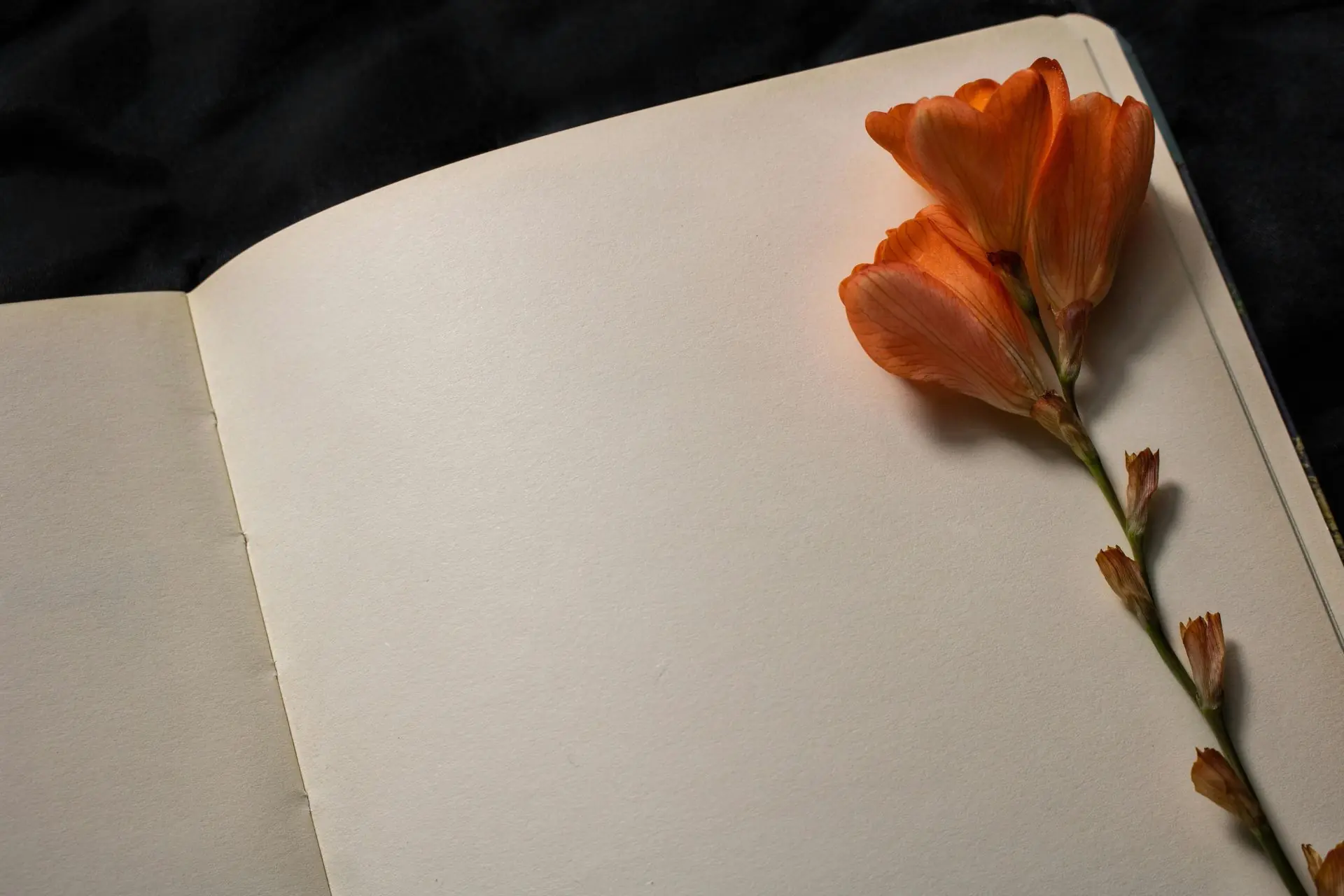 Urdu Punjabi Poetry