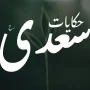 shiekh_sadi_hikyat